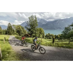 GoRoc X 2.10 - Vélo électrique Flyer -Pièces Route Boutique goroc x 210 flyer velo electrique 3